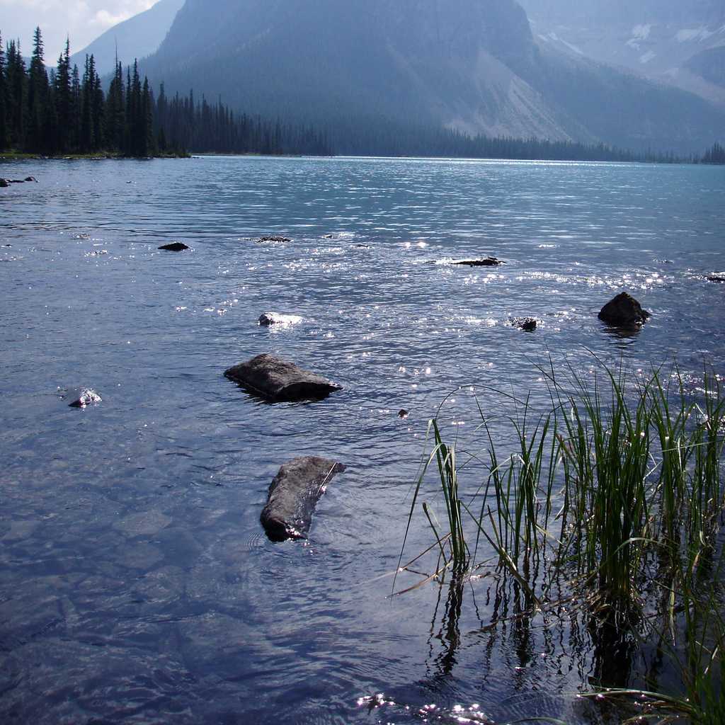 Aquatic Resource Assessment