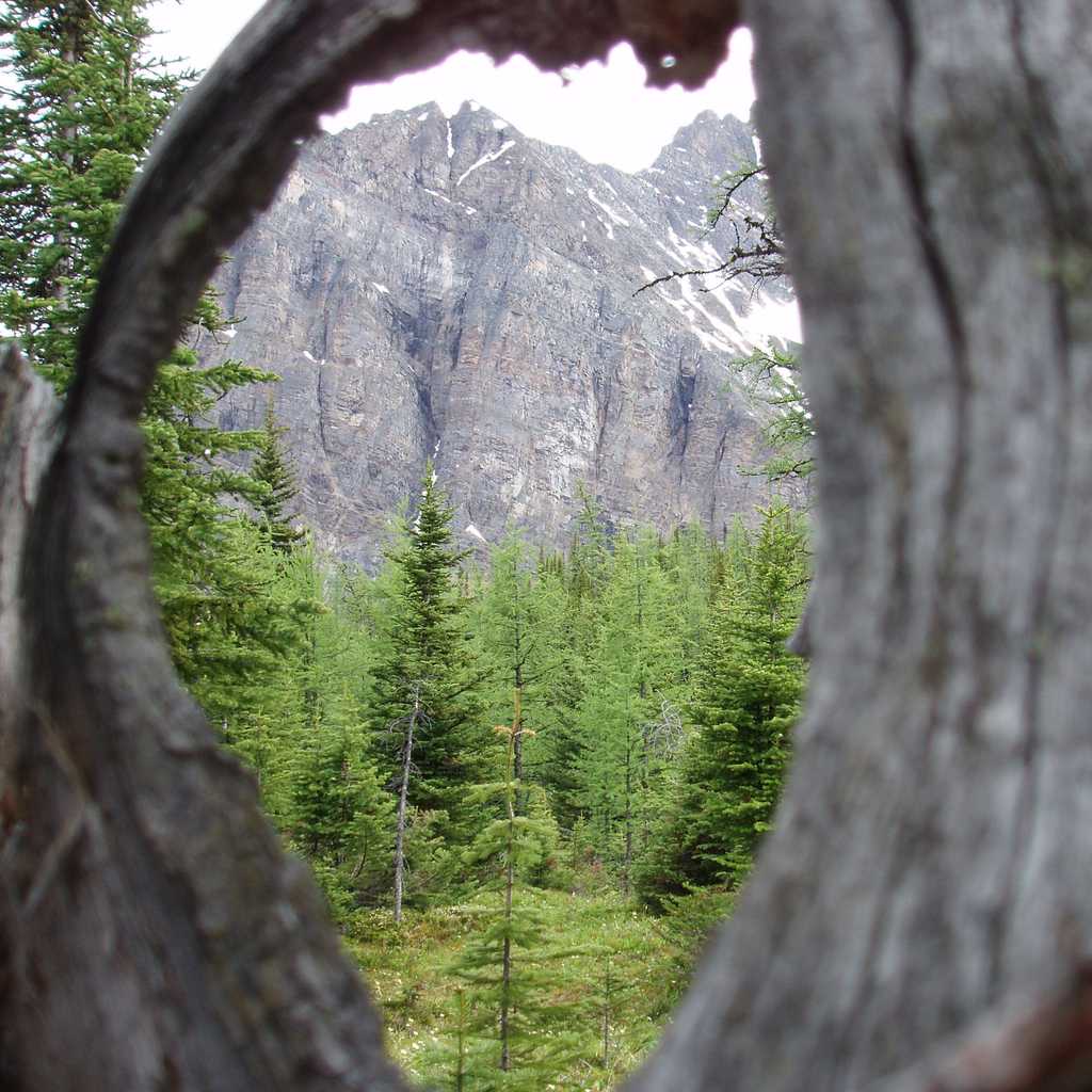 Development of Environmental Protection Plans (EPP) and Erosion and Sediment Control Plans (ESC)